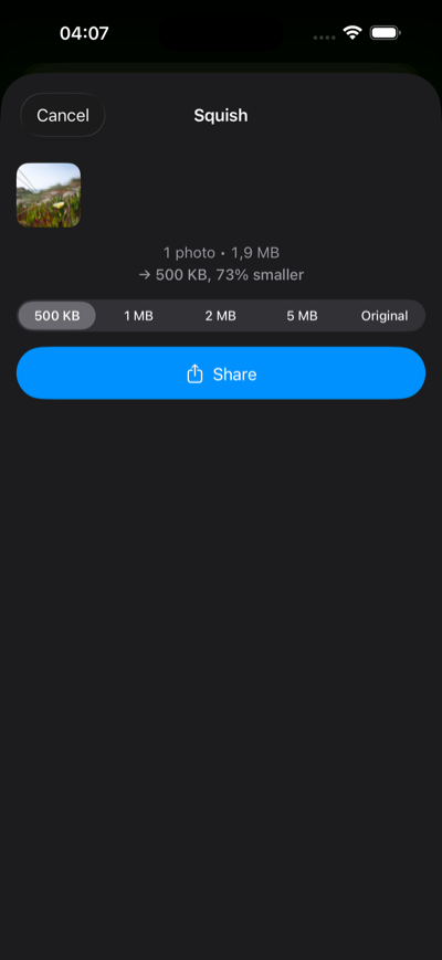 Squish share extension showing compression preview with target size options